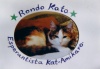 Rondo Kato