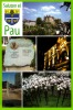 Saluton el Pau