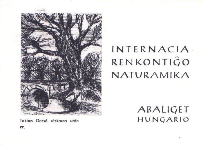 Naturamika renkontigxo