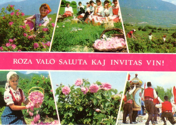 Roza Valo