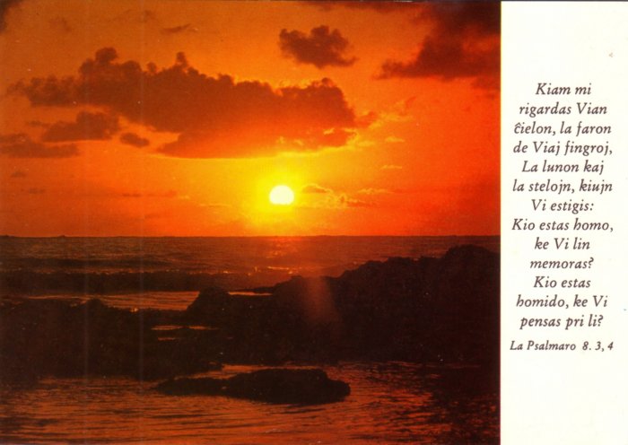 Psalmaro 8.3,4
