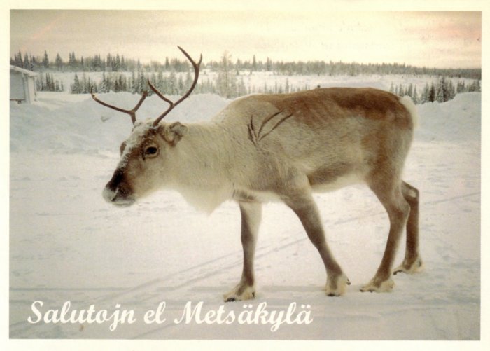 Salutojn el Metsäkylä!