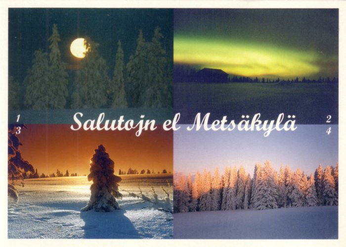 Salutojn el Metsäkylä!