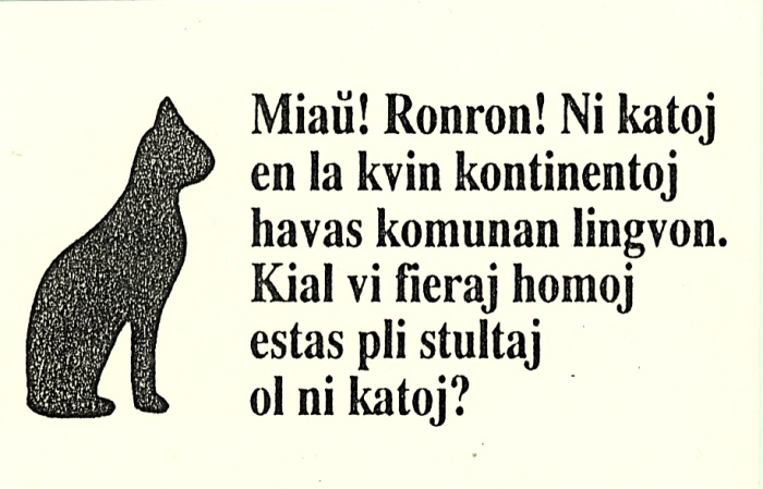 Miaux! Ronron! Ni katoj en la kvin kontinentoj havas komunn lingvon