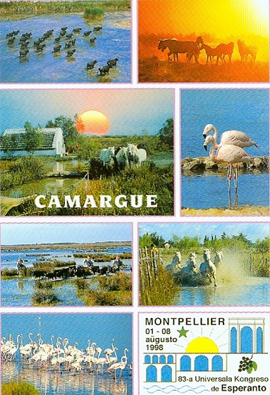Camargue